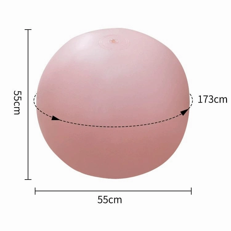 Bouncy Inflatable Sex Ball with Remote Control Vibrating Realistic Dildo