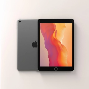 iPad 9 256GB WiFi i   4G LTE (Unlocked)