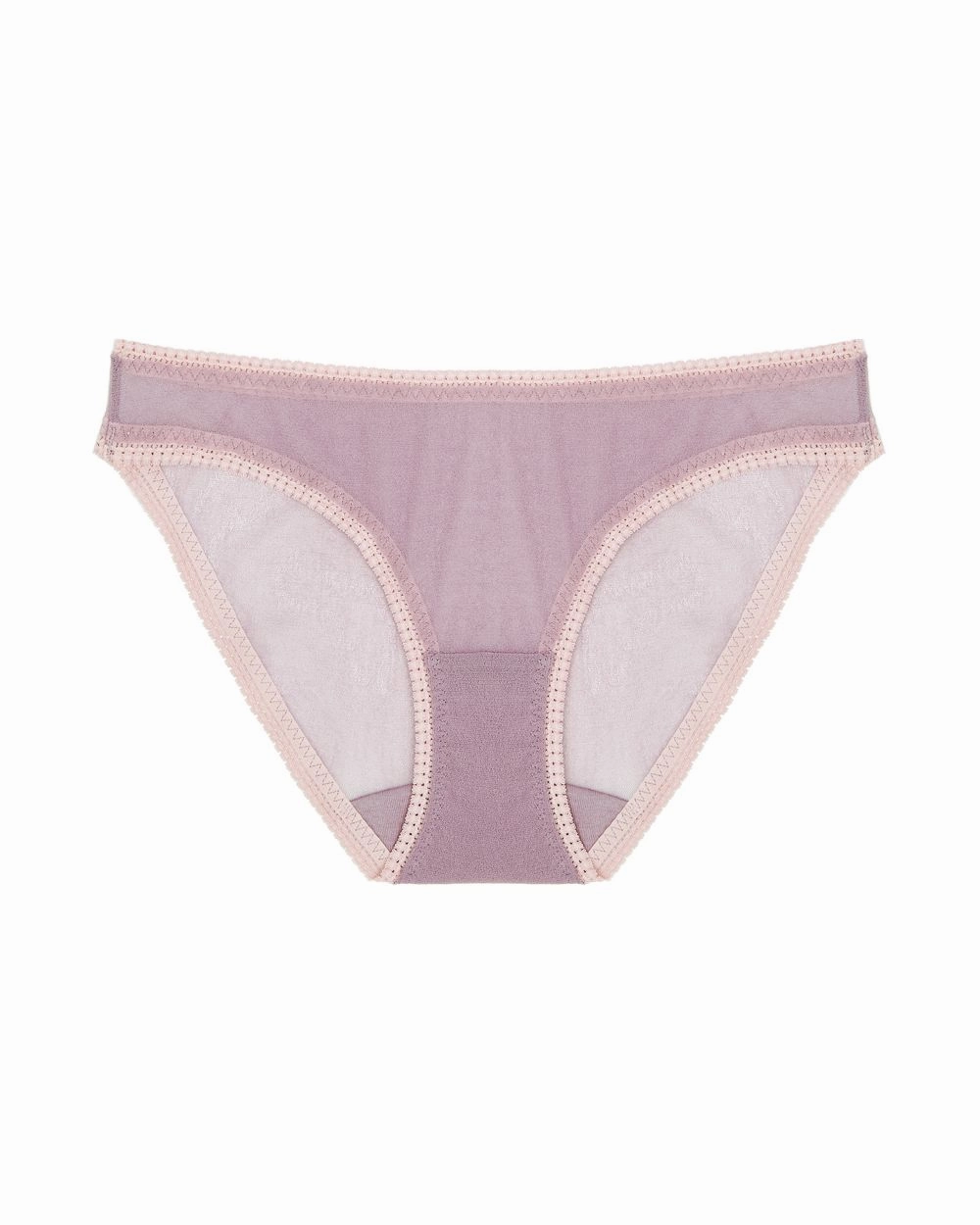 Solid Mesh Hip Bikini